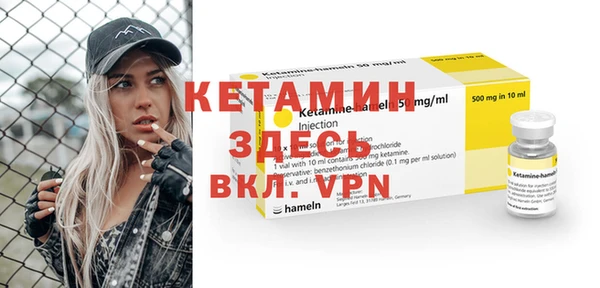 индика Новодвинск