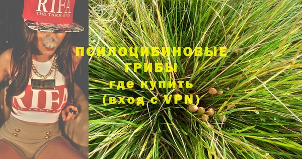 гашик Белокуриха