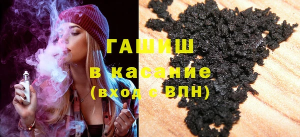 индика Новодвинск