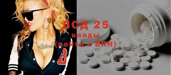 прущие грибы Новозыбков
