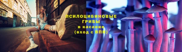 прущий лед Арсеньев