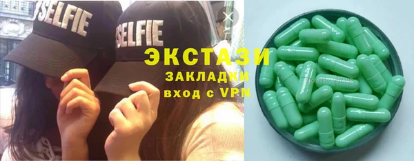 прущие грибы Новозыбков