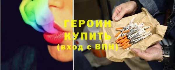 индика Новодвинск