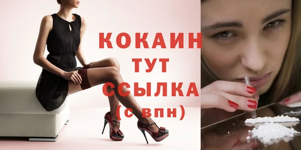 прущие грибы Новозыбков