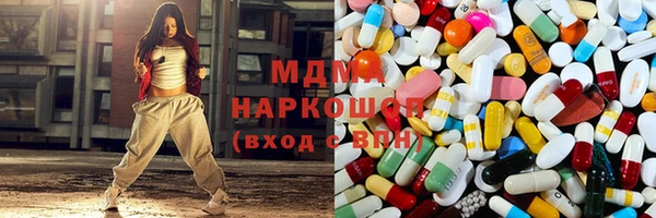 прущие грибы Новозыбков