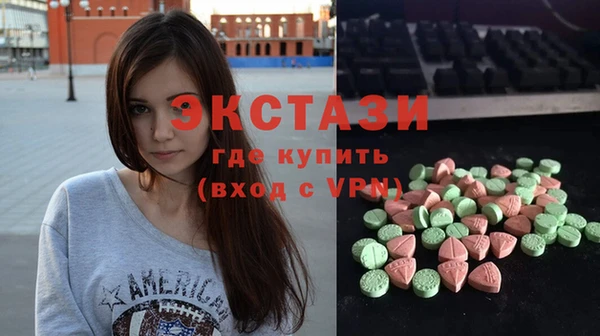 индика Новодвинск