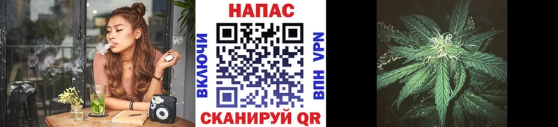 Каннабис сатива  OMG зеркало  Сорочинск 